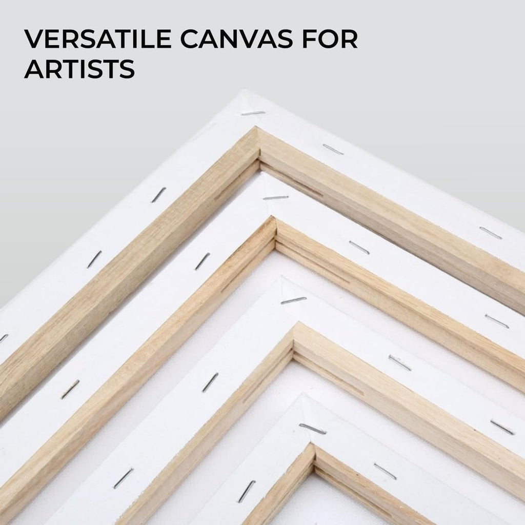 H&S Artist Blank Canvas Set, 4 Stretched Canvas Painting Boards (20x30cm, 30x40cm, 40x50cm & 50x60cm), Primed Canvas Frames for Acrylic, Oil & Watercolor Painting