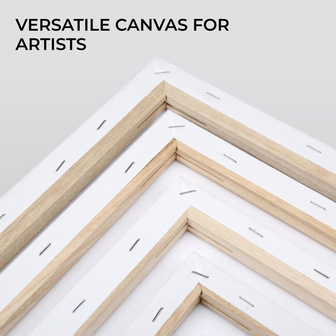 H&S Artist Blank Canvas Set, 4 Stretched Canvas Painting Boards (20x30cm, 30x40cm, 40x50cm & 50x60cm), Primed Canvas Frames for Acrylic, Oil & Watercolor Painting