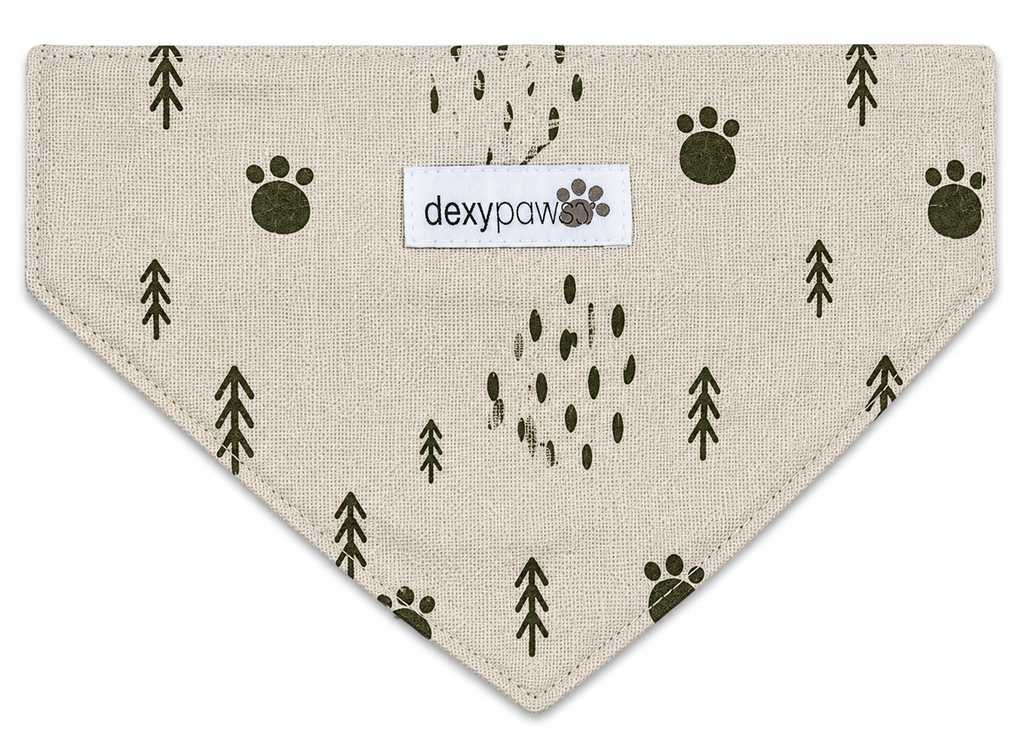Dexypaws Ice Cooling Dog Collar – Medium (M)
