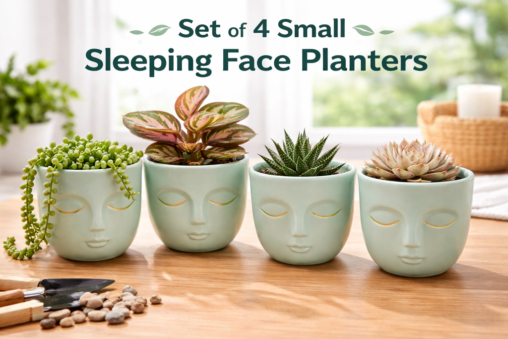Set of 4 Small Sleeping Face Planters – Mini Decorative Flower Pots for Succulents, Desk & Home Décor