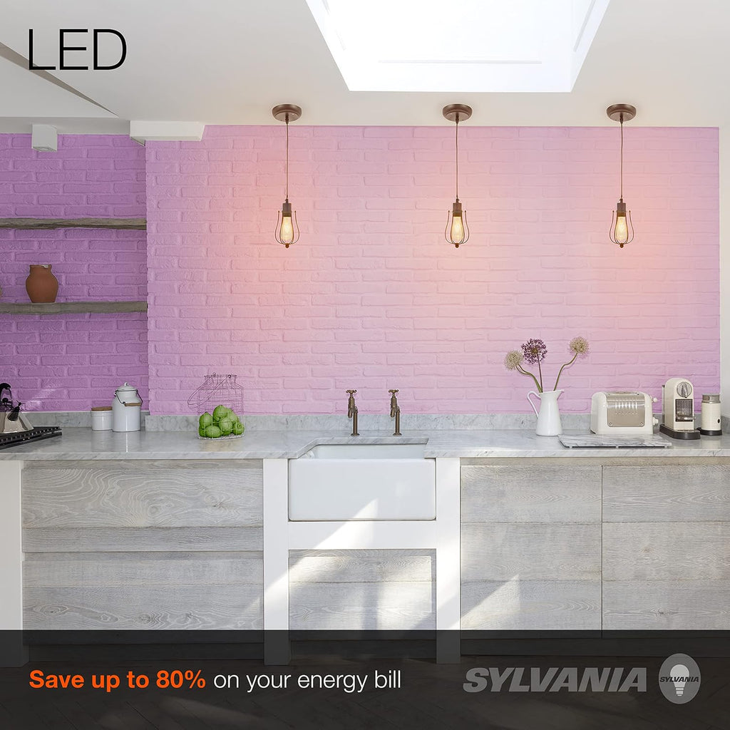 Sylvania Lowell Vintage Cage Pendant Light – Matte Black Plug-In – Model 1901