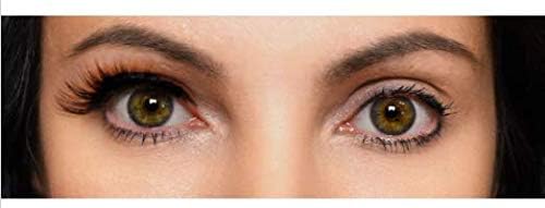 Tori Belle Magnitude Magnetic Eyelashes – Reusable False Lashes