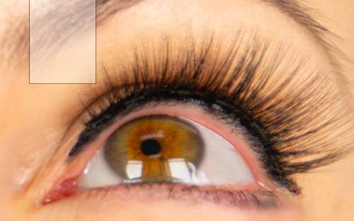 Tori Belle Magnitude Magnetic Eyelashes – Reusable False Lashes